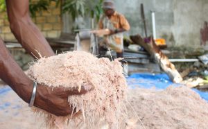 Alat Pengolahan Sagu Efisien untuk Produktivitas Tinggi