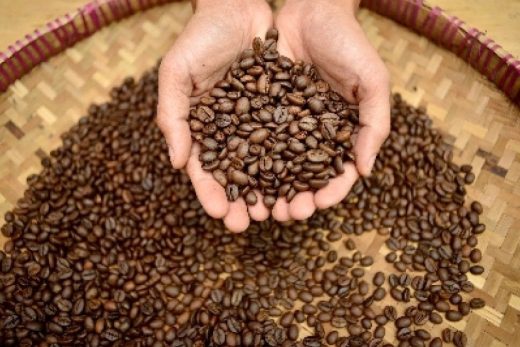 mesin usaha minuman kopi